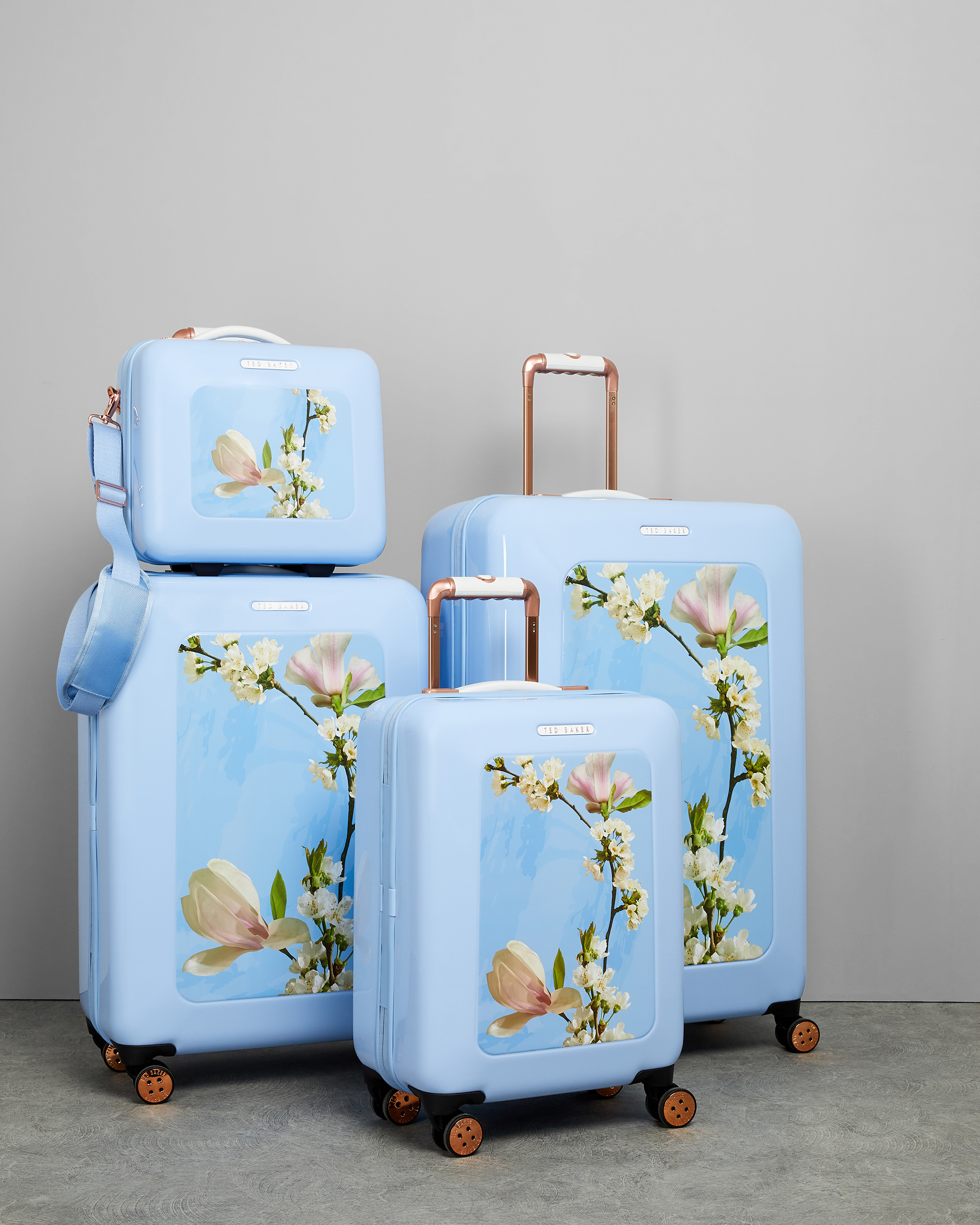 ted baker harmony suitcase