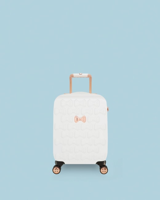 ted luggage