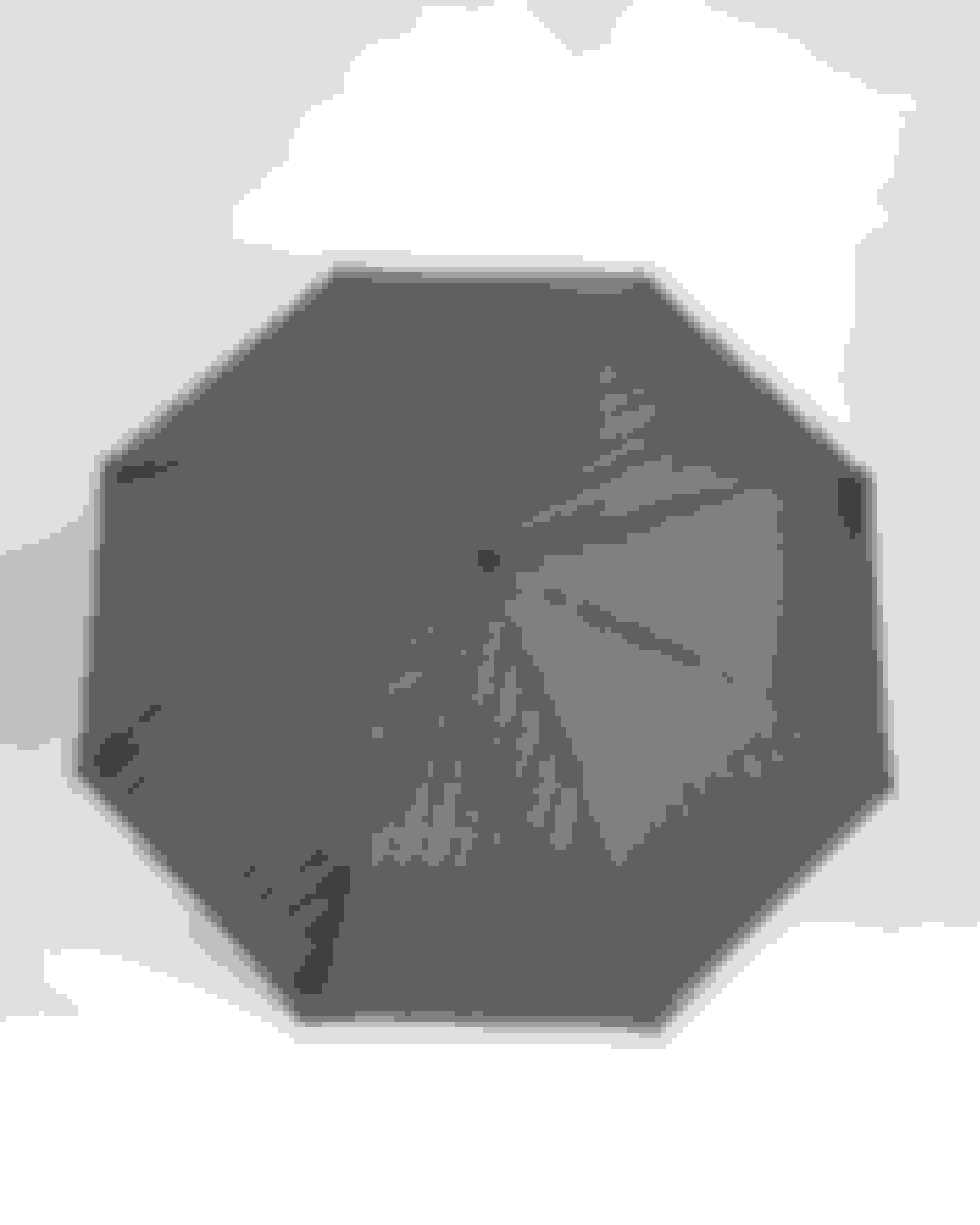 Schwarz Mini-Regenschirm mit geometrischem Muster Ted Baker