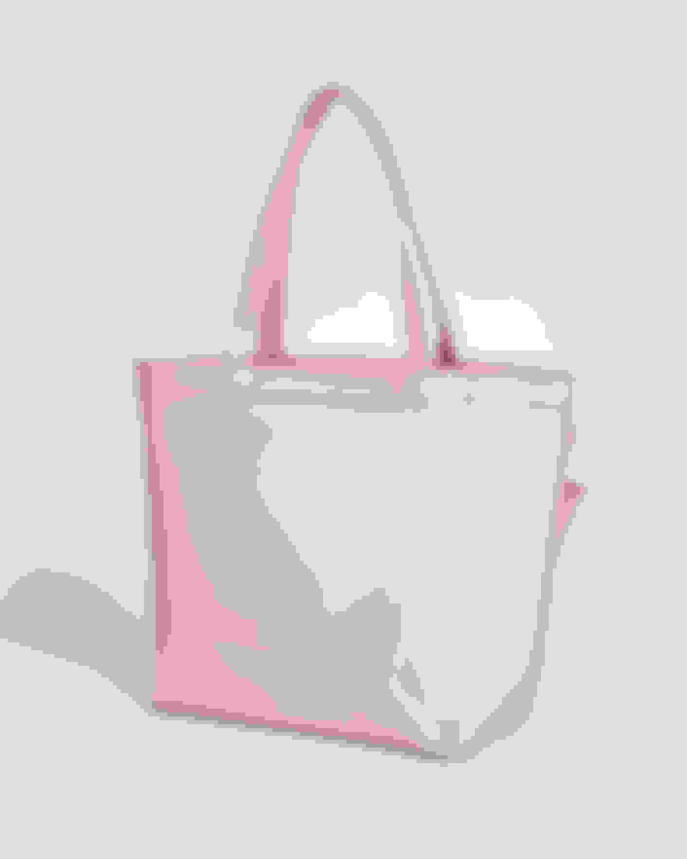 Bolso transparente rosa con zapatos de mujer rosados sobre un fondo blanco