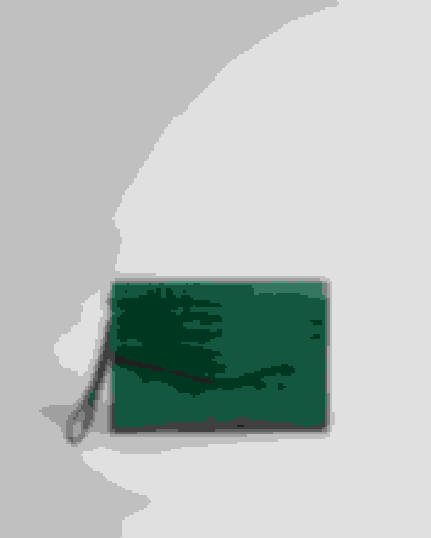 Green Croc Detail Debossed Envelope Pouch Ted Baker