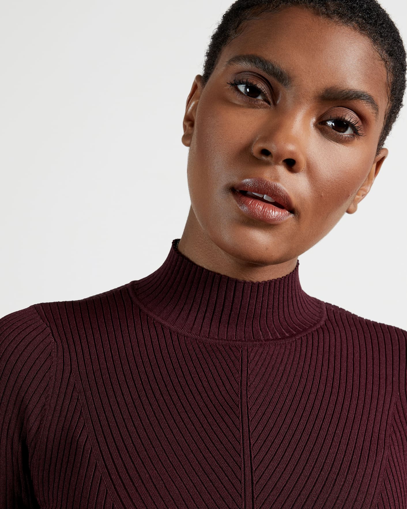 Oxblood High Neck Sweater Ted Baker
