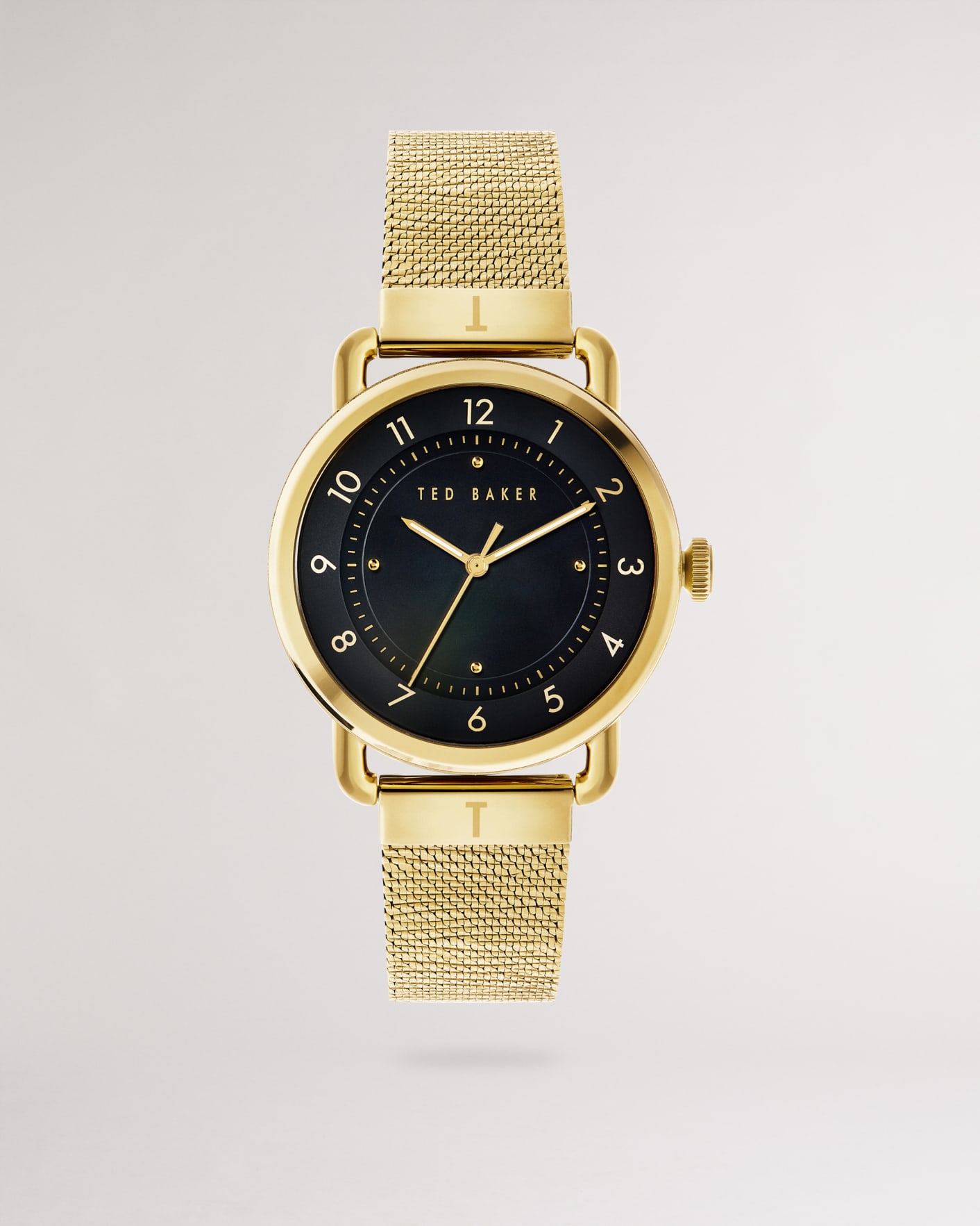 Gold Color Mesh Strap Watch Ted Baker